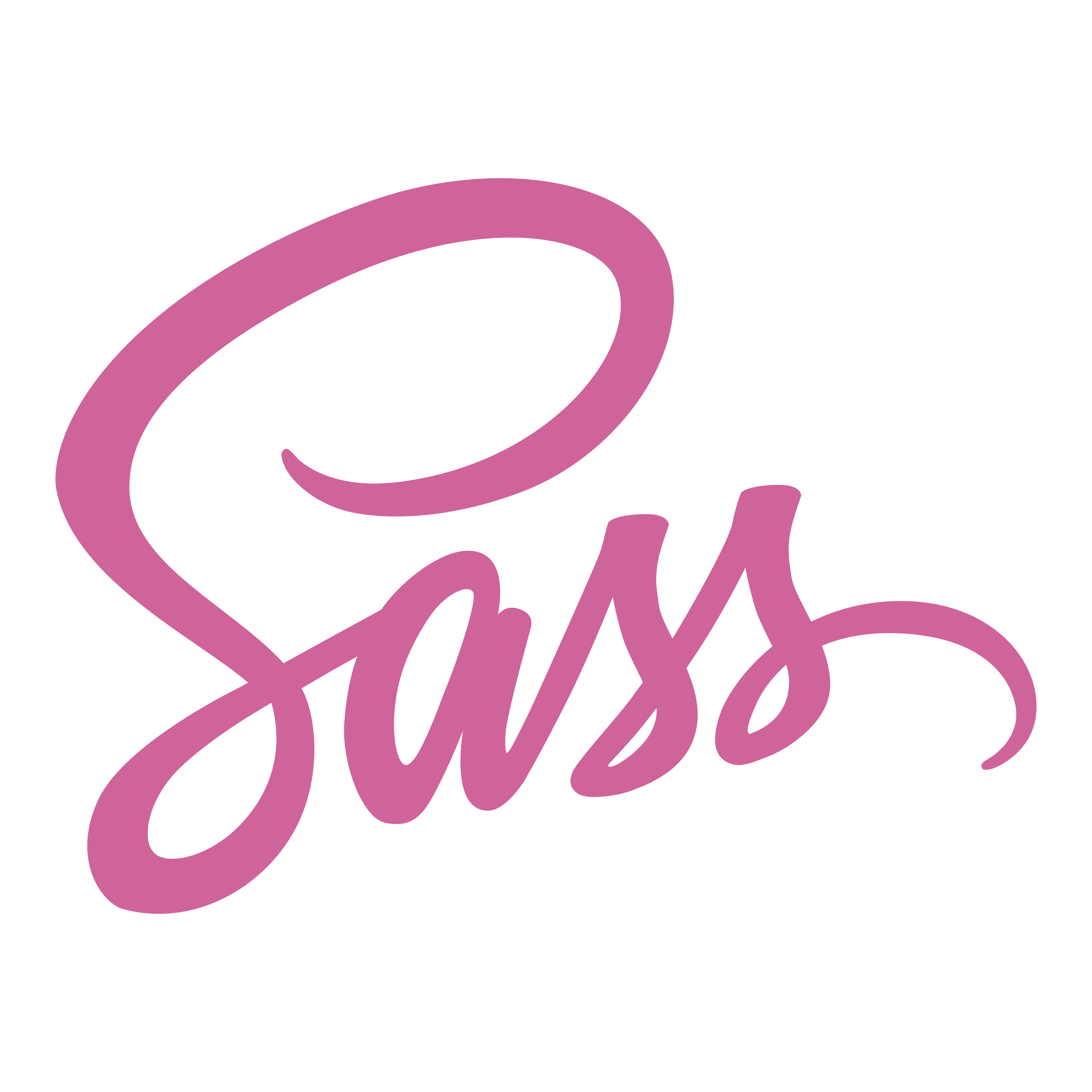sassのアイコン